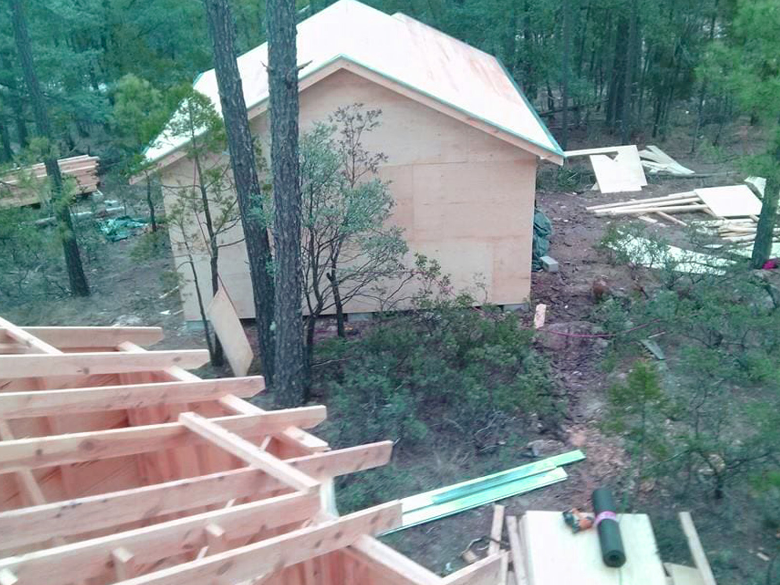 cabaña de madera en bosque