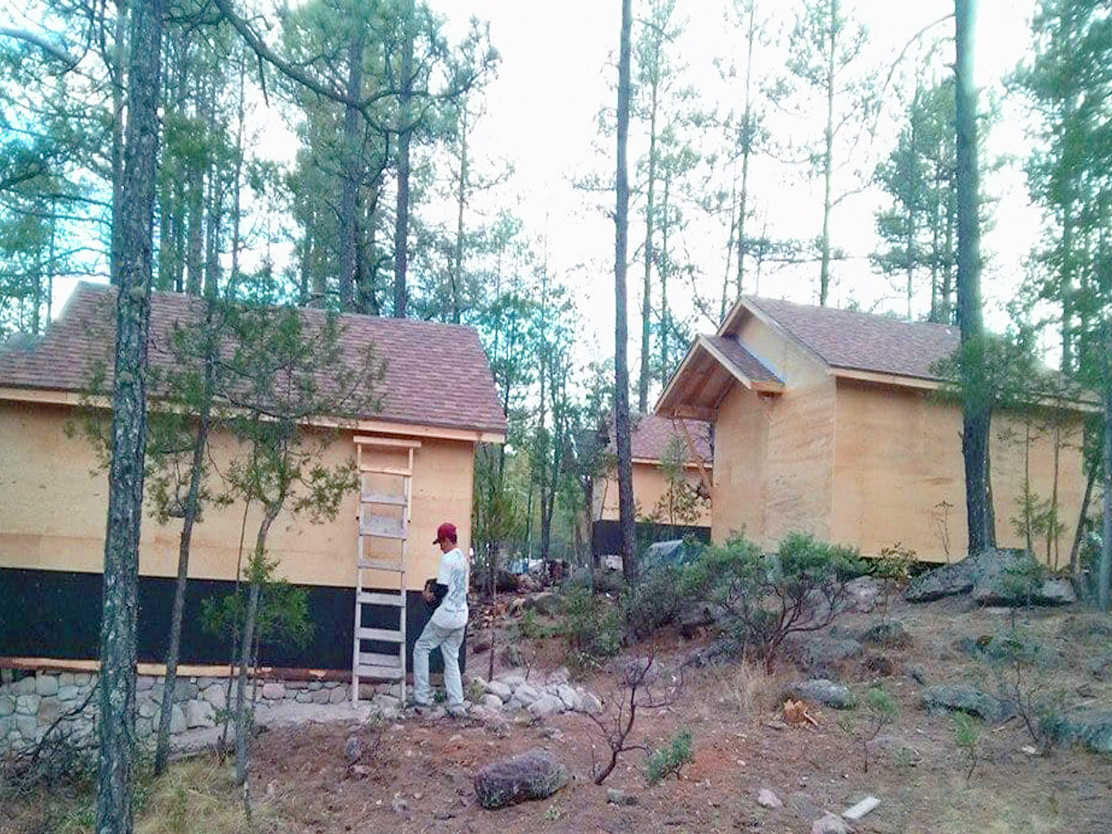 conjunto de cabañas en bosue